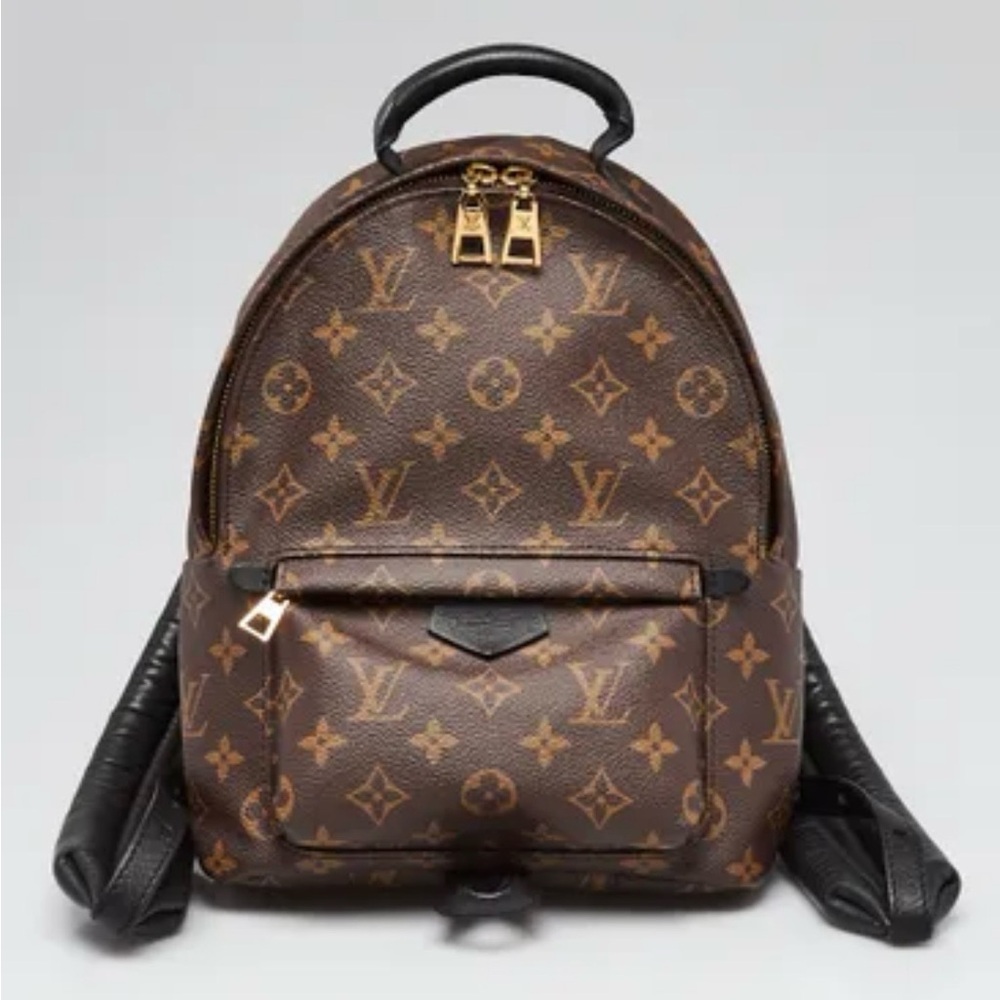Louis Vuitton Palm Springs PM Backpack Monogram Canvas Brown Timeless Gift